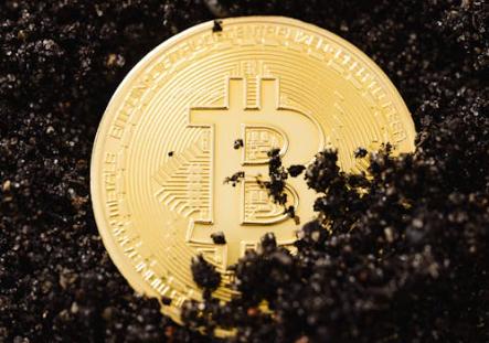 创新高后“闪崩”巨鲸“切换”华尔街“抄底”？过去48小时比特币和以太坊“惊天巨震”